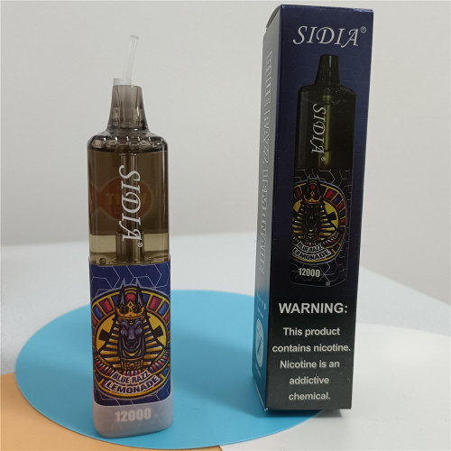 Kit vape pakai buang sidia 12000 puffs ulasan yang baik