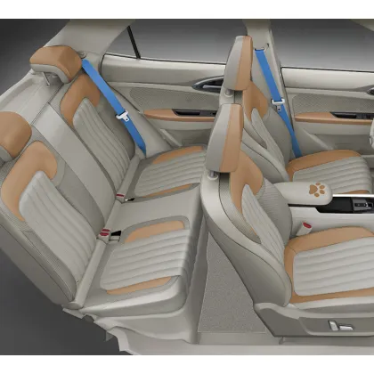 Pure electric car Ora Good Cat