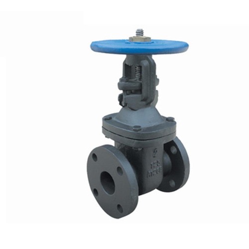 ANSI Cast Iron Gate Valve ANSI Rising Gate Valve Supplier