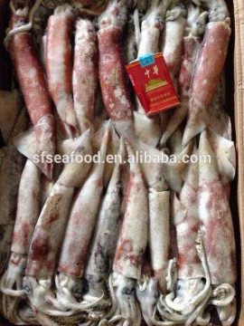 Whole Round Frozen Squid Todarodes Pacificus