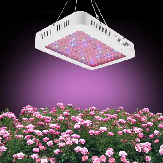600W Grow Light Red Blue Lighting