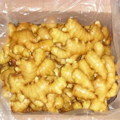 Wholesale Fresh Vegetable Organic Ginger