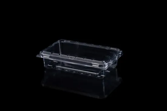 Food Grade Material Clamshell