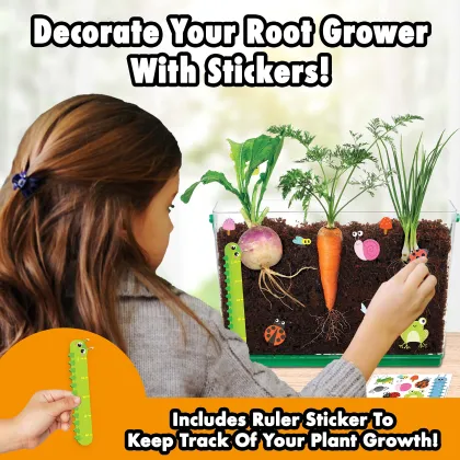 Wholesale Miracle-Gro My First Root Viewer Garden Stem Kit for Kids: Decorate, Plant, and Learn