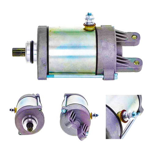 Affordable Starter Motors for Various Motorcycles Including VTS-250, GTS-250, DINK-250, DAFRA NEXT-300 Models