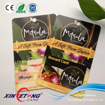 Hard Plastic Gift Card With Paper Gift Card Holder (Factory Price)