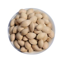 Ginkgo Seeds as an Astringent and Hemostatic Herbal Remedy