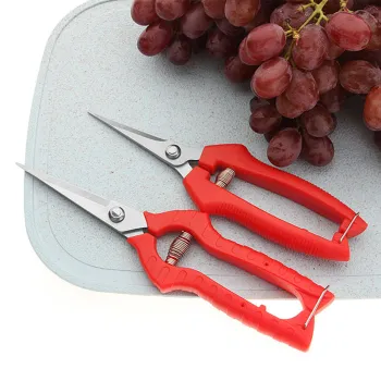 Anti-Slip Handle Stainless Steel Fruit Picking & Flower Thinning Scissors
