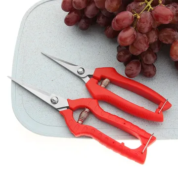 Anti-Slip Handle Stainless Steel Fruit Picking & Flower Thinning Scissors