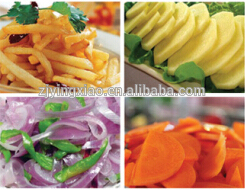 professional food service equipment electric stainless steel vegetable slicing and shredding machine