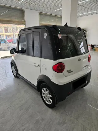 Hot RHD Pure Electric 2-Seater Jiayuan Electric Car