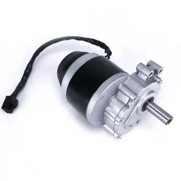 24V 250W Wheelchair Motor with Deceleration, Brushed Low Speed, Permanent Magnet DC Motor and Electromagnetic Brake