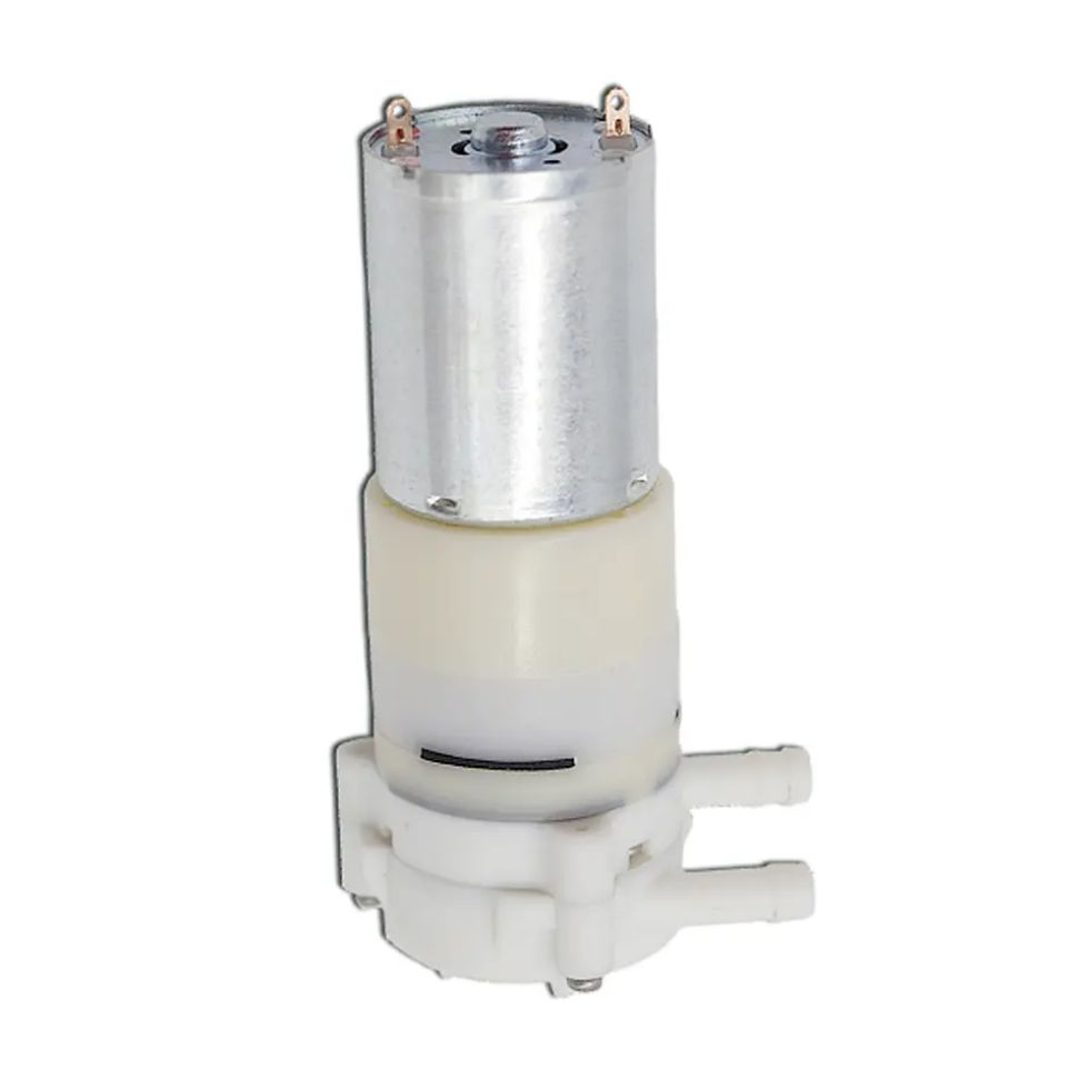 Hall Effect 12V DC Motor Mini Pump