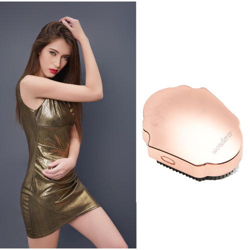 Painless Detangle Hair Brush
