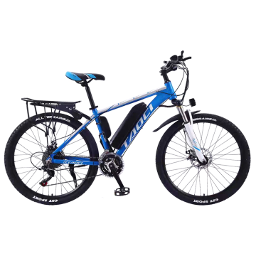 Electric Bike Moped Kit: 3 Wheel Scooter, Fat Tire 2 Seat MTB for Enduro
