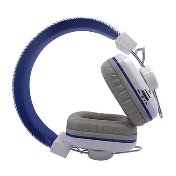 Noise Cancelling Technology Bluetooth Headphones