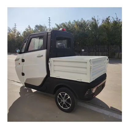 YouYou Electric Cargo Car - New Energy Van Vehicle