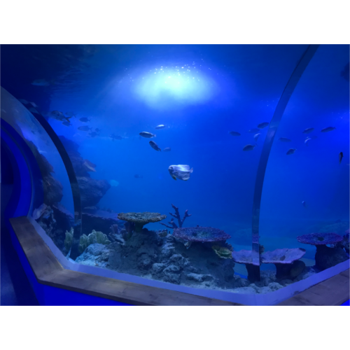 Customized transparent acrylic aquarium tunnel
