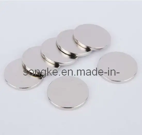 Rare Earth Magnet Used in Motors S-003