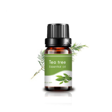 10 ml de aceite de té australiano Aceite esencial 100% puro para jabón