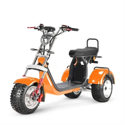 Sunra Electric Express Tricycle: Professional Manufacturer's 4000W Recreational Electric Tricycle