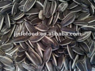 Type 5009 Sunflower Seeds