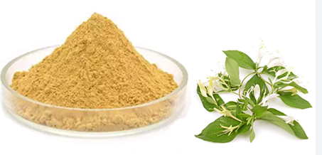 honeysuckle extract for cooking