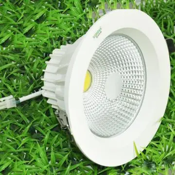 New Design 30W  LED Down Light