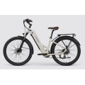 Individuelles Elektrofahrrad für Pendler