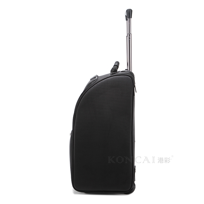 Professional Hard Beauty Case