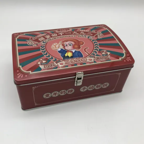 Special Shape Tin Box With Lock