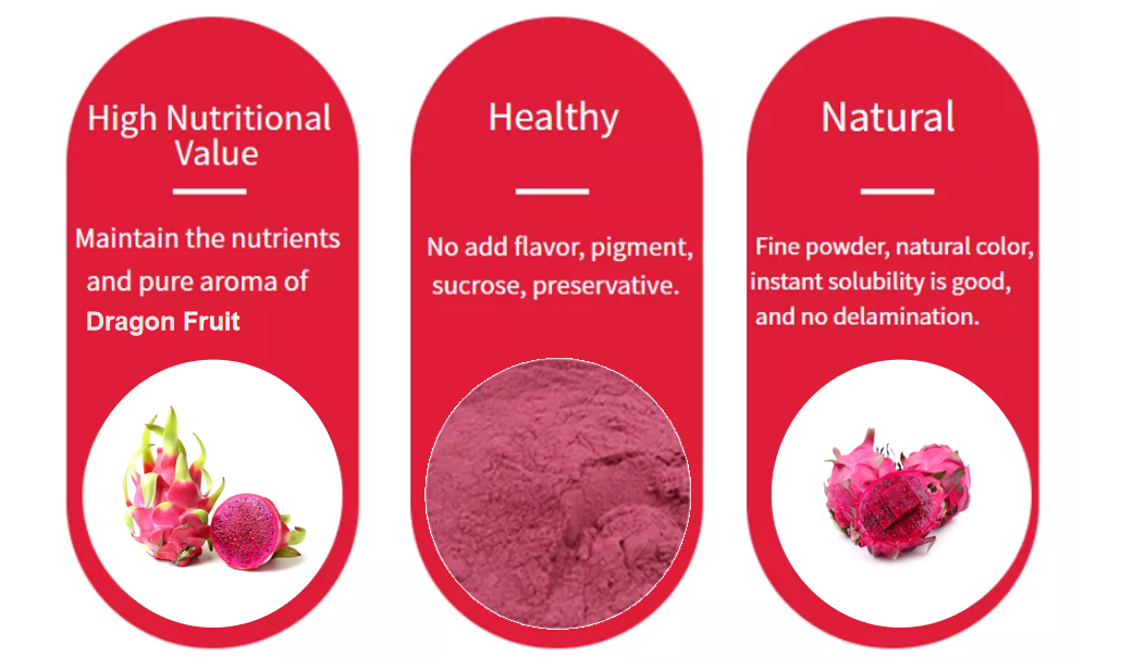 Dragon Fruit Powder 3