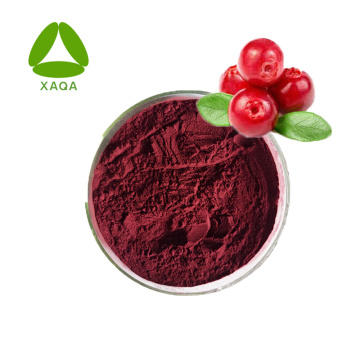 Hot Sales Cranberry Extract Anthocyanidines 10% poeder