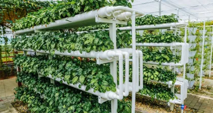 MYXL Hydroponics Indoor NFT Tower Growing System