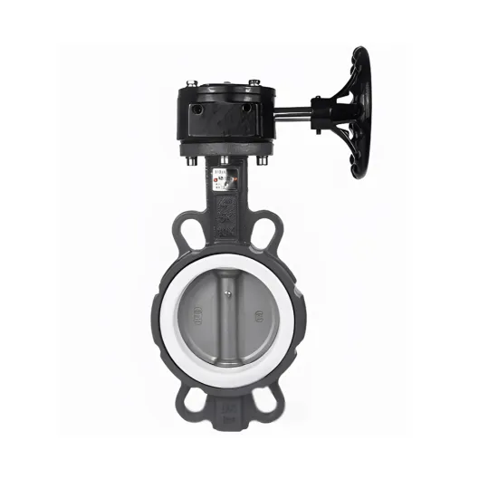 4inch Manual Clamp PTFE Sealed Turbine Butterfly Valve