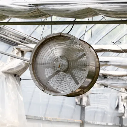 Agriculture Facility Air Circulation Fan for Sale