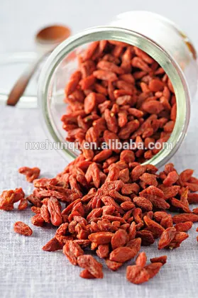 NEW CROP HOT SALE BULK GOJI BERRIES