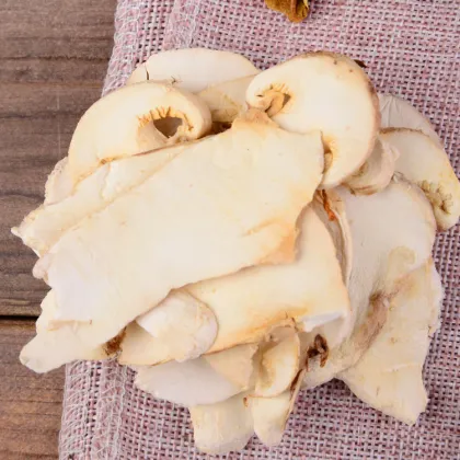 Wholesale Tricholoma matsutake, yellow head fungus, boletus, morel, razor clam