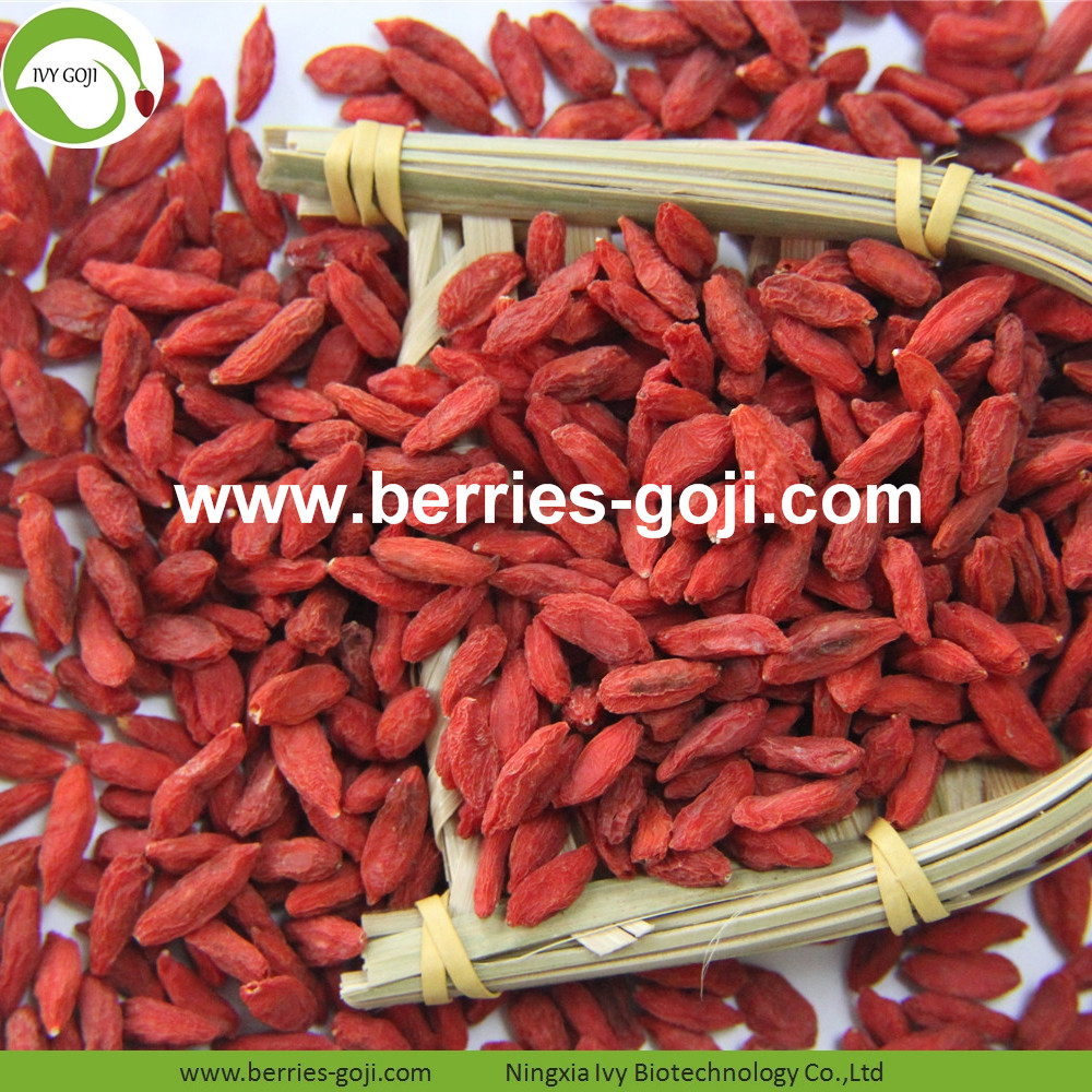 Goji Berry059