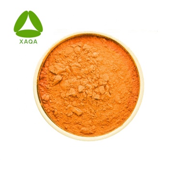 Coenzyme Q10 Powder Water Soluble CAS 303-98-0