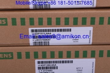 SHIP OUT TODAY+++SIEMENS 6DD1600-0AF0
