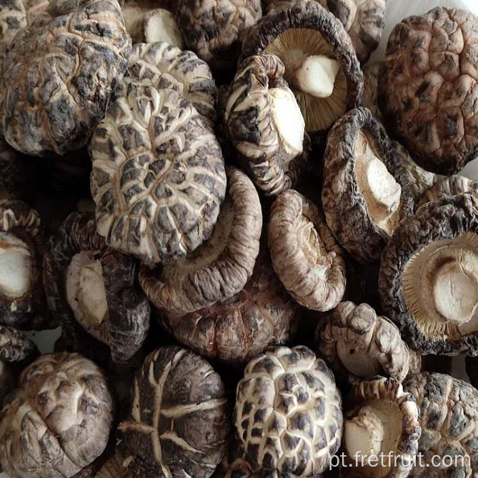 Cogumelos shiitake secos de qualidade