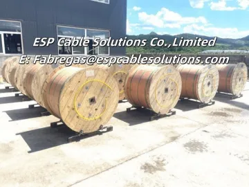 18AWG, 150℃ 4mm Downhole Instrumentation Cable(TEC Cable)