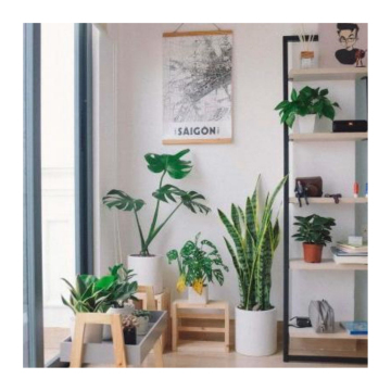 Linwoo Wholesale Artificial Plants for Home, Office & Commercial Decor