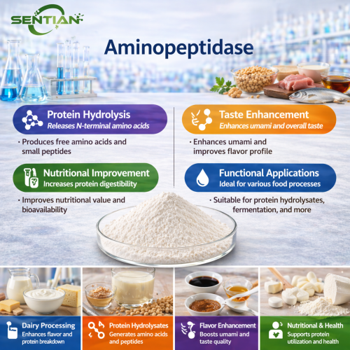Probiotics Powder with Leucine Aminopeptidase