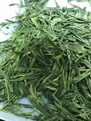 Green tea liver health