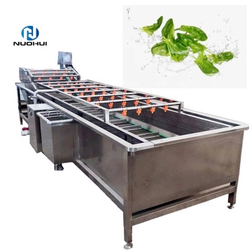 Automatic Fruit and Vegetable Washing, Cleaning, Drying, and Sorting Line Equipment