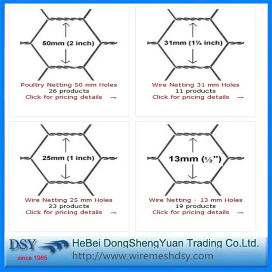 High Quality and Fairest Price Hexagonal Wire Mesh