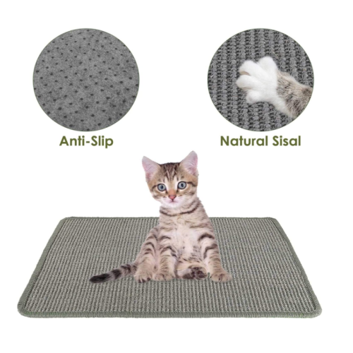 Cat bermain scratch pad tidur