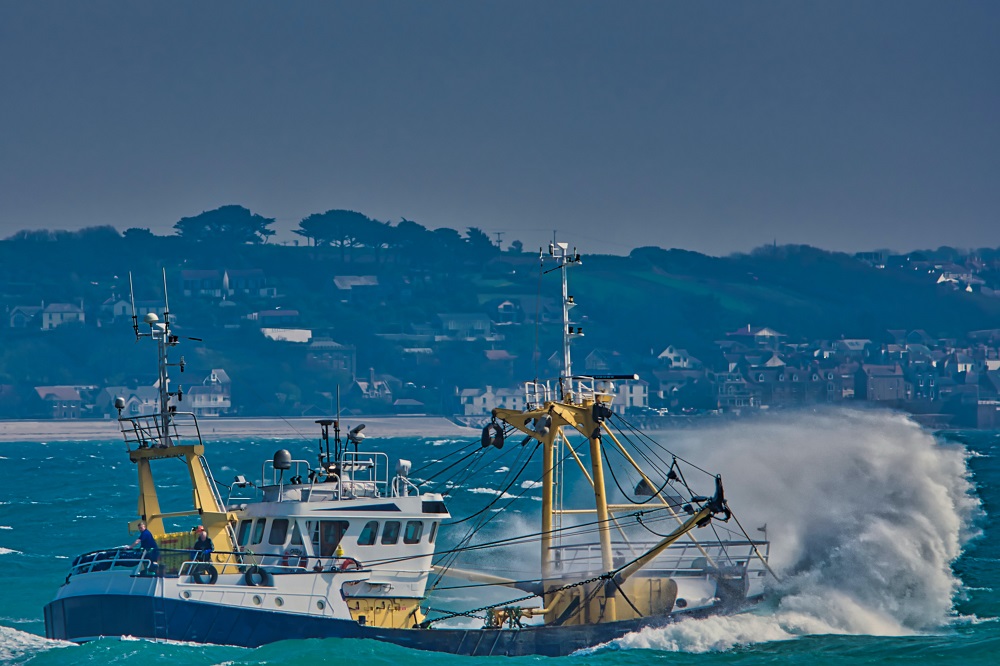 Reparación y mantenimiento de barcos pesqueros profesionales